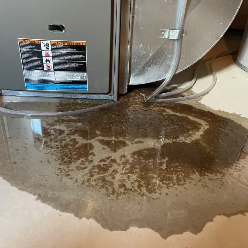 Appliance Leak Cleanup in Williamson County, TX